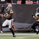 Image for article titled The Rise Of Josh Gordon: The Browns' New Superstar Receiver